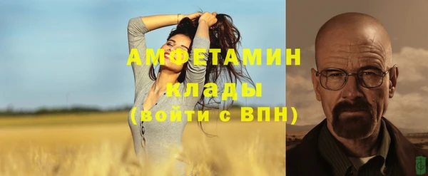 трава Белокуриха