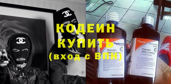 трава Белокуриха