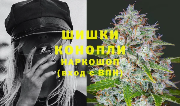 стаф Балахна